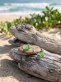 Green sea glass hoop earrings on driftwood and pebble on a sandy beach by Laura Loos