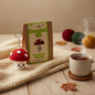 Crochet Toadstool Keyring Kit 13.5cm by Rex London - finished mushroom keyring and kraft packaging