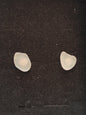 A pair of small, irregularly shaped off-white translucent stones or beads displayed inside a white presentation box with a black velvet insert, set on a dark gray tabletop.