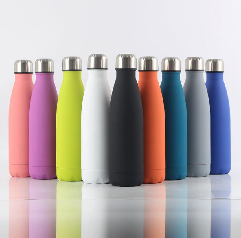 Stainless Steel Insulated Water Bottle